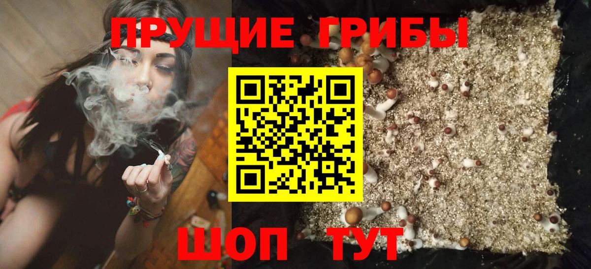 Кушва  Псилоцибиновые грибы прущие грибы  Вход с VPN 